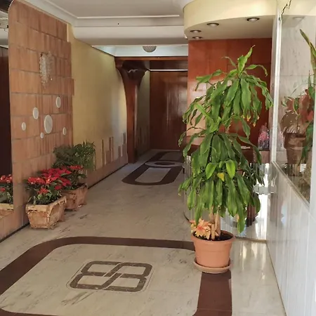 Cachirulo 6d - Arena * ベニドルム